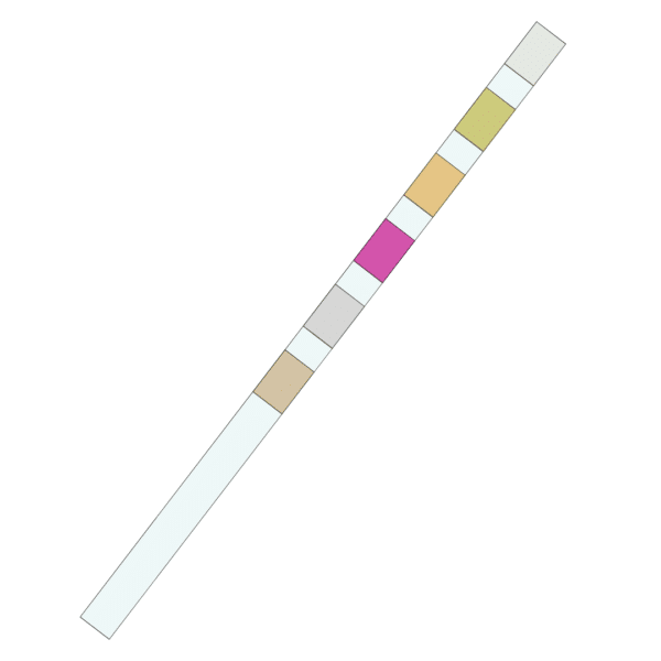 Urine Adulteration Test Strips - Single Panel Test